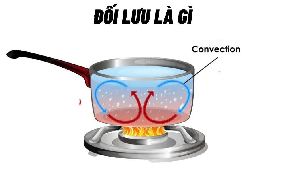 Đối lưu là gì?