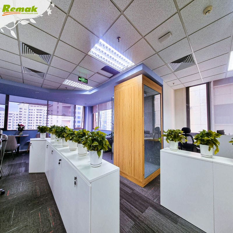Cabin cách âm Remak thiết kế theo yêu cầu (3)